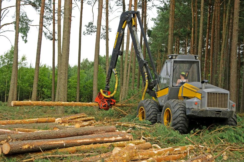 Commercial Tree Removal Equipment