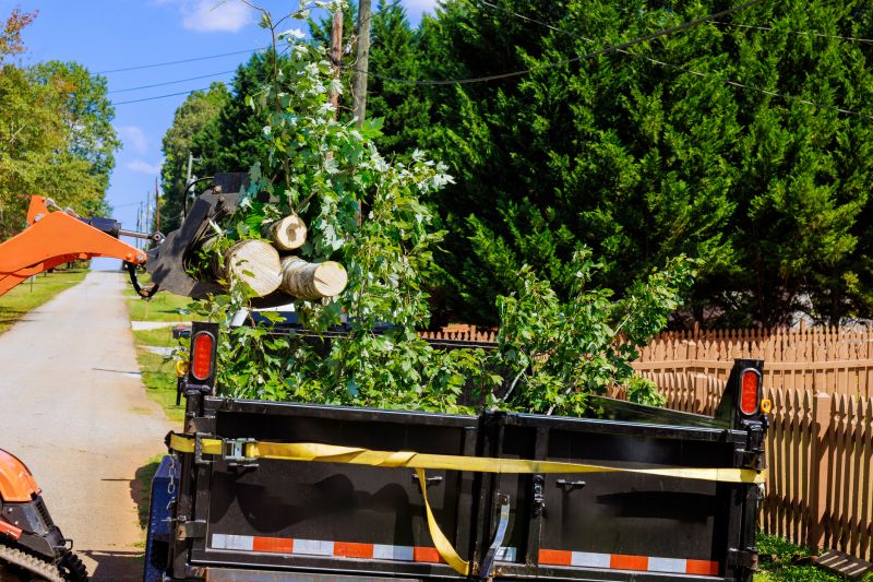 Residential Tree Service detail